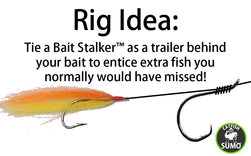 Bait Stalkers: Stinger Flies to Catch Extra Catfish, 5-Pack