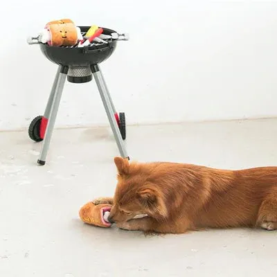 BBQ Nose Work Dog Toy