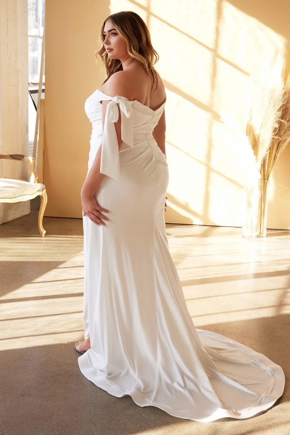 Cinderella Evening Dress CD944WC