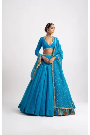 Firozi Silk Organza Heavy Dupatta Lehenga Set