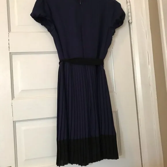 Max and Cleo form flattering dress pleated navy colorblock 4