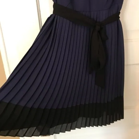 Max and Cleo form flattering dress pleated navy colorblock 4