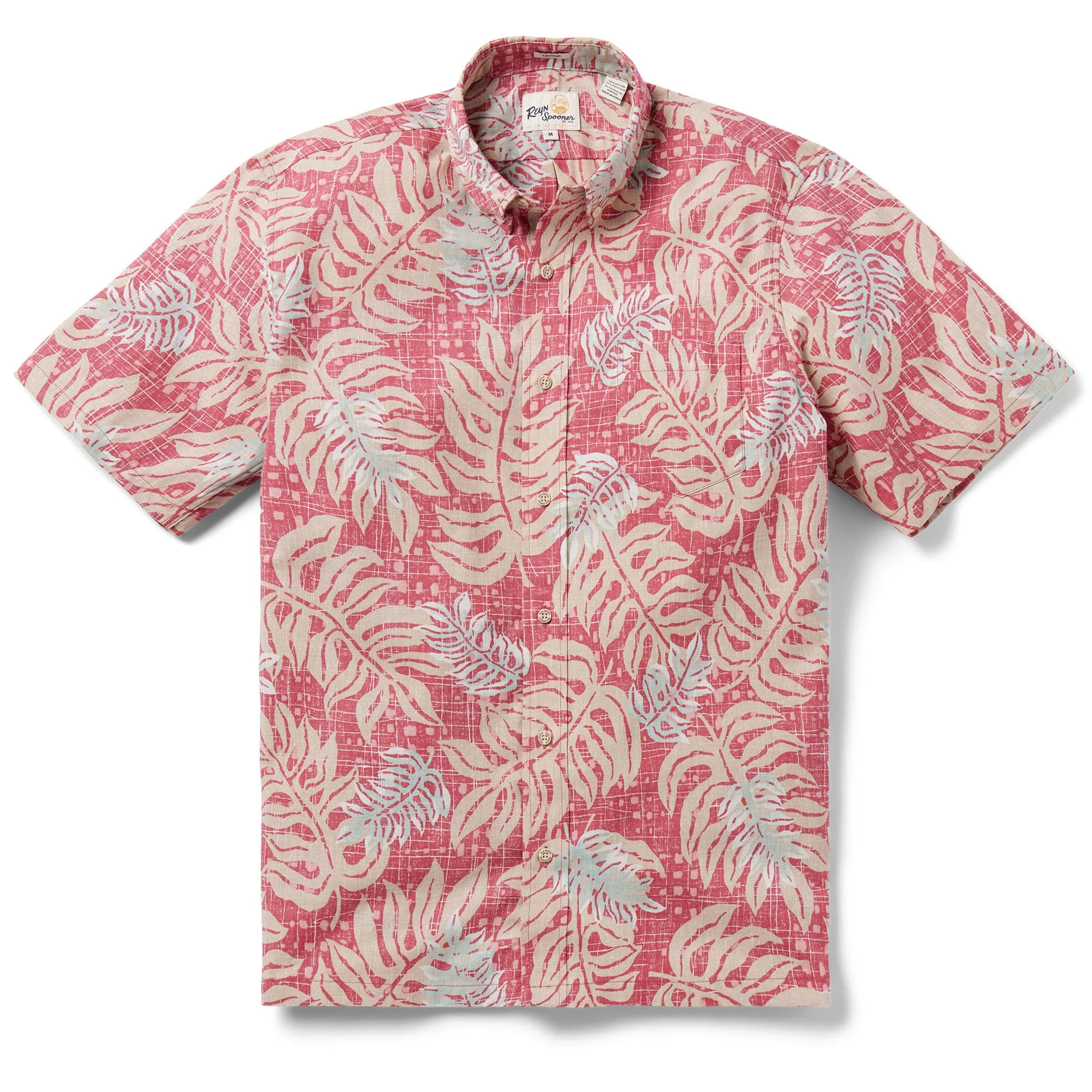 MONSTERA MODERN