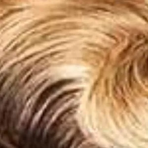 Outre 100% Human Hair Premium Duby Diamond Wig - TRUDY