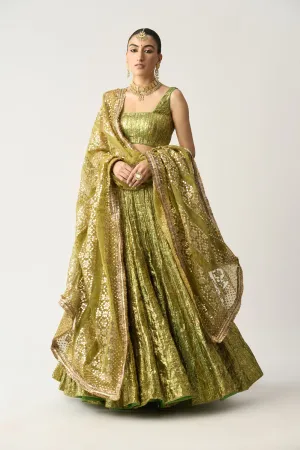 Reshmi Angoori Lehenga Set