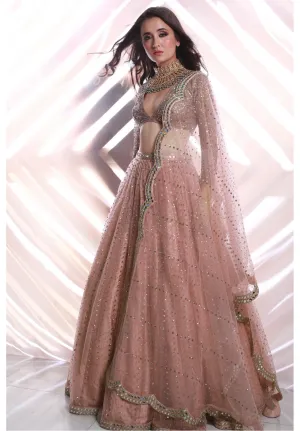 Sequins Scatter Blush Pink Lehenga Set