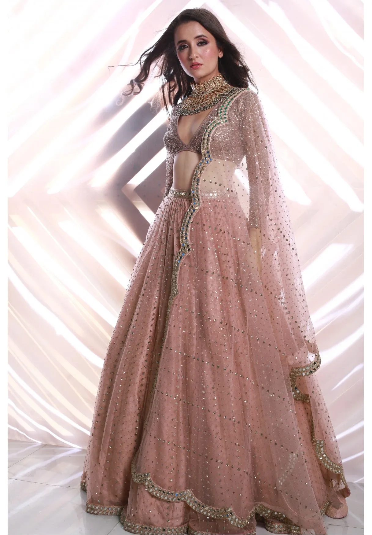 Sequins Scatter Blush Pink Lehenga Set