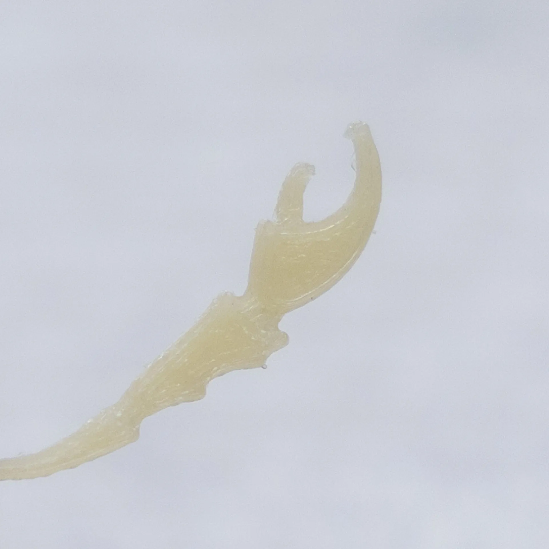 The Claw
