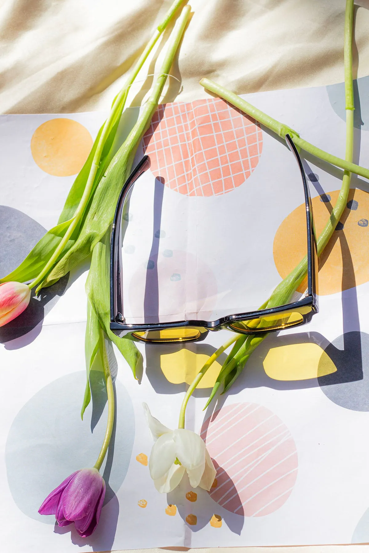 Thick Frame Mini Rectangle Sunglasses