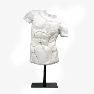 Torso of an athlete Apollo Vintage (   more colors)